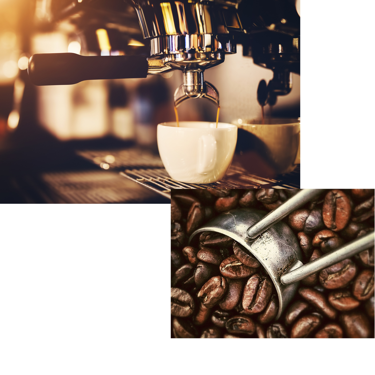 Qualitätskontrolle KUGA Kaffee